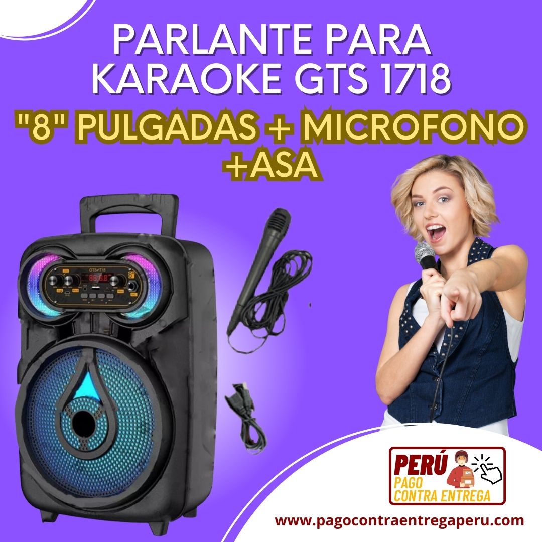 🎵🔊 PARLANTES PREMIUM  (MICRÓFONO 🎤 + ASA + LUZ LED) - LIMA